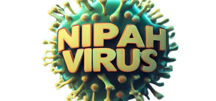 What You Need to Know About the Nipah Virus